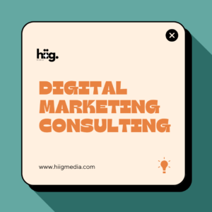 Hiig Media - Digital Marketing Consulting