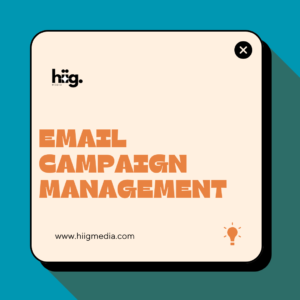 Email Campaign Management​